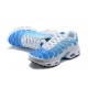 Nike Air Max Plus Tn Mens Shoes  Blue White 852630-411