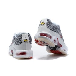 Nike Air Max Plus Tn Mens Shoes  Grey and White