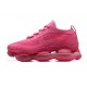 Nike Air Max Scorpion Pink Womens sneakers DR0888-008